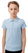 Поло ЛАДНО 602 короткий рукав голубой