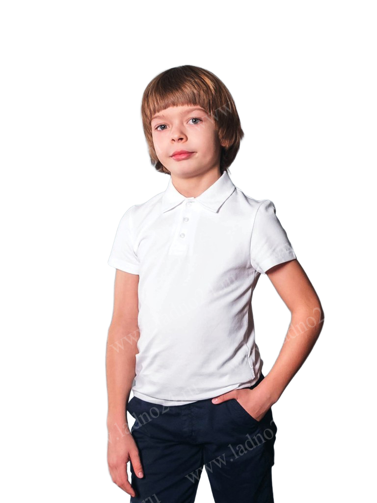Поло ЛАДНО 602 КР